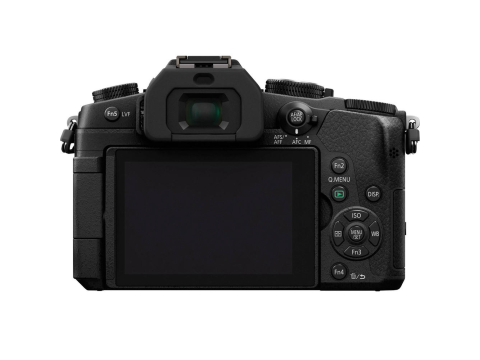 Panasonic Lumix DMC-G80 + 12-60mm f/3.5-5.6.Picture5